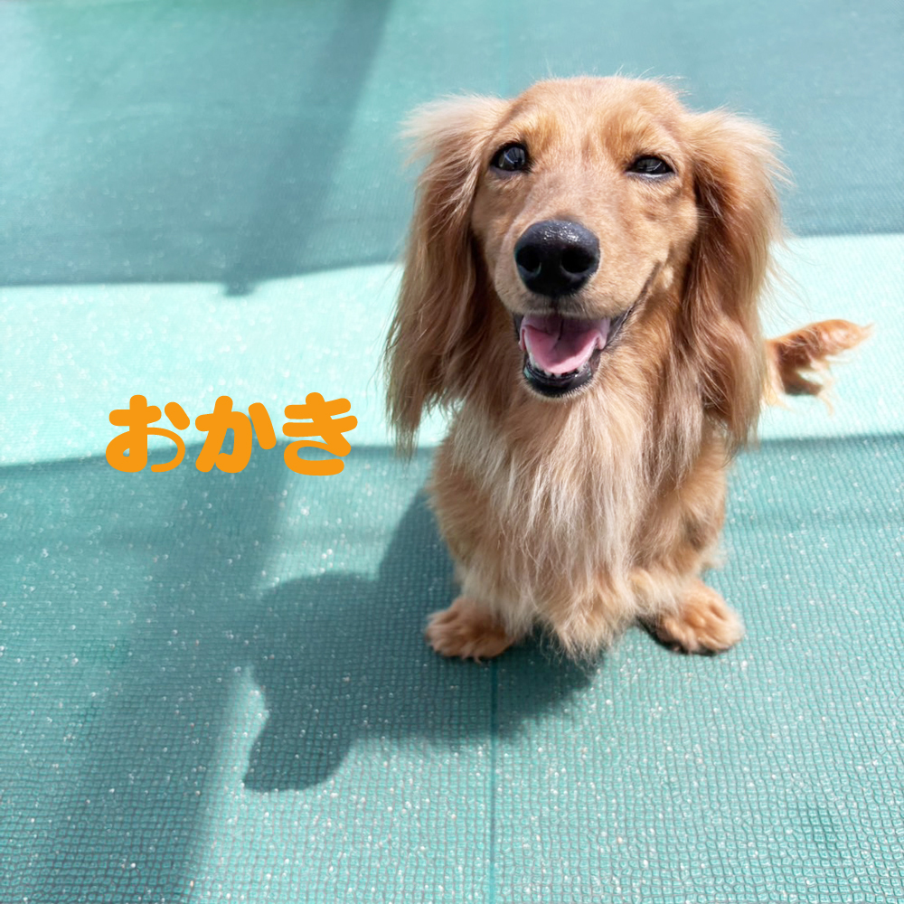 生徒が撮影してくれました♪